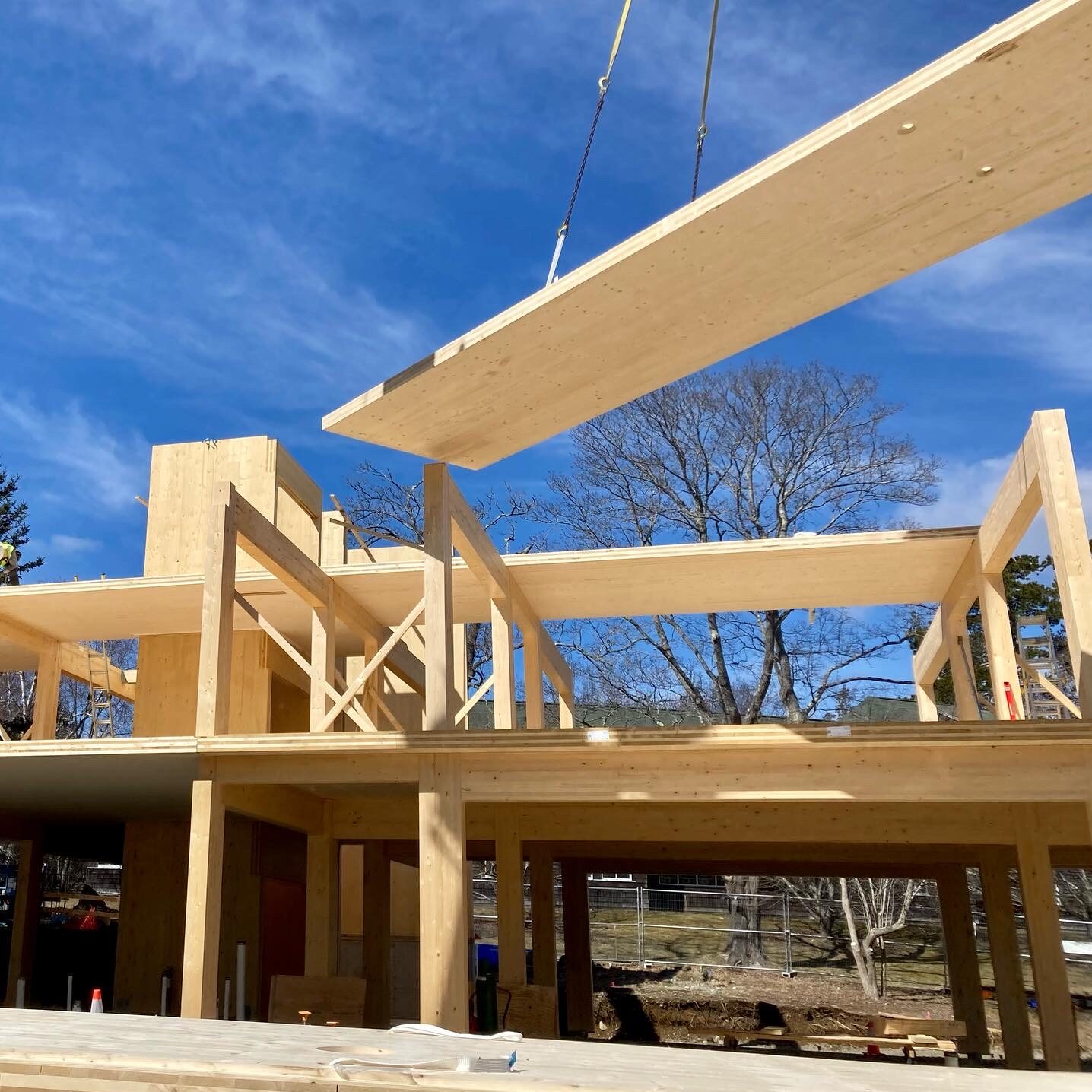 Large cross-laminated timber (CLT) floor panel being installed by crane onto a multi-story mass timber frame for this student housing building.  